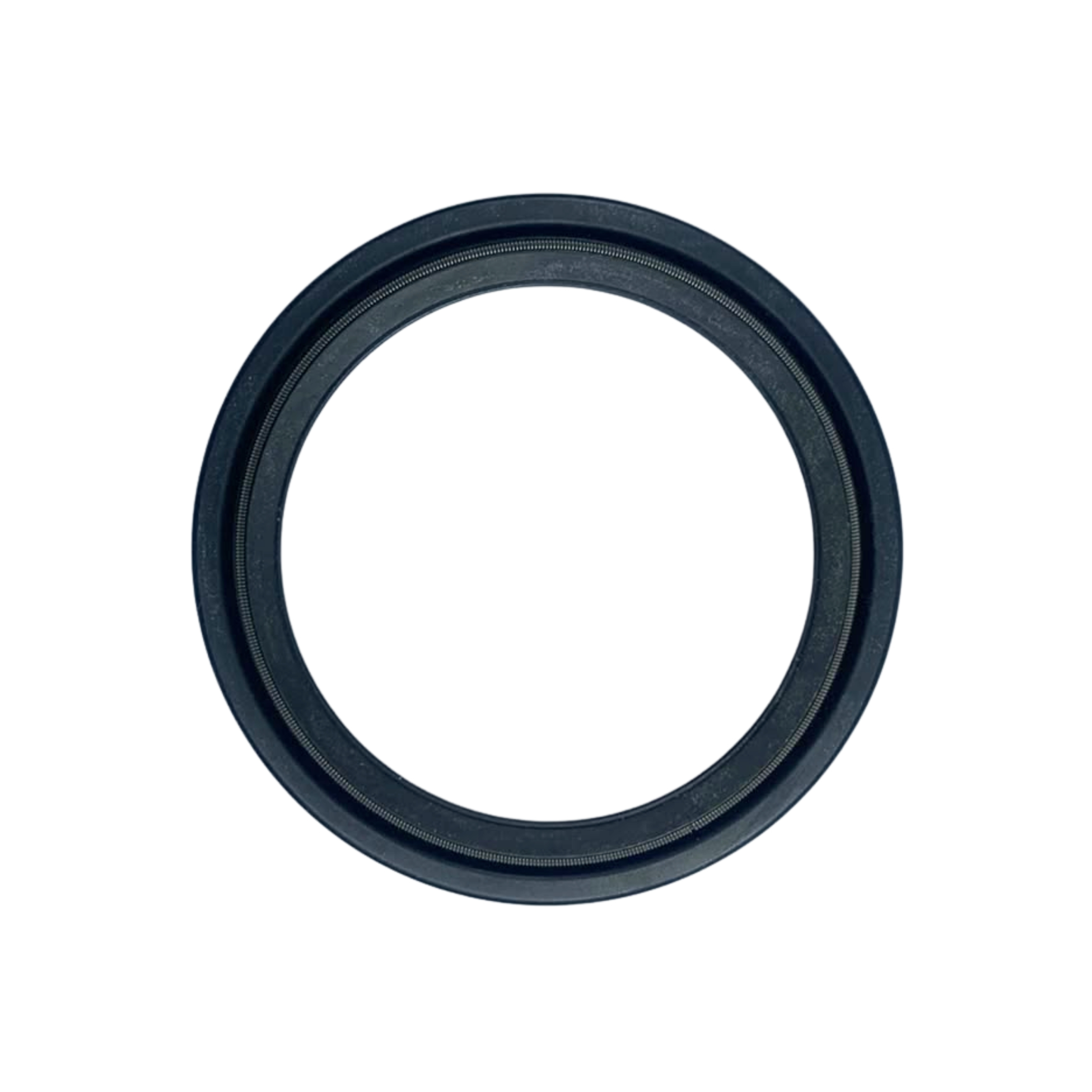 SEAL DUST - FANTIC