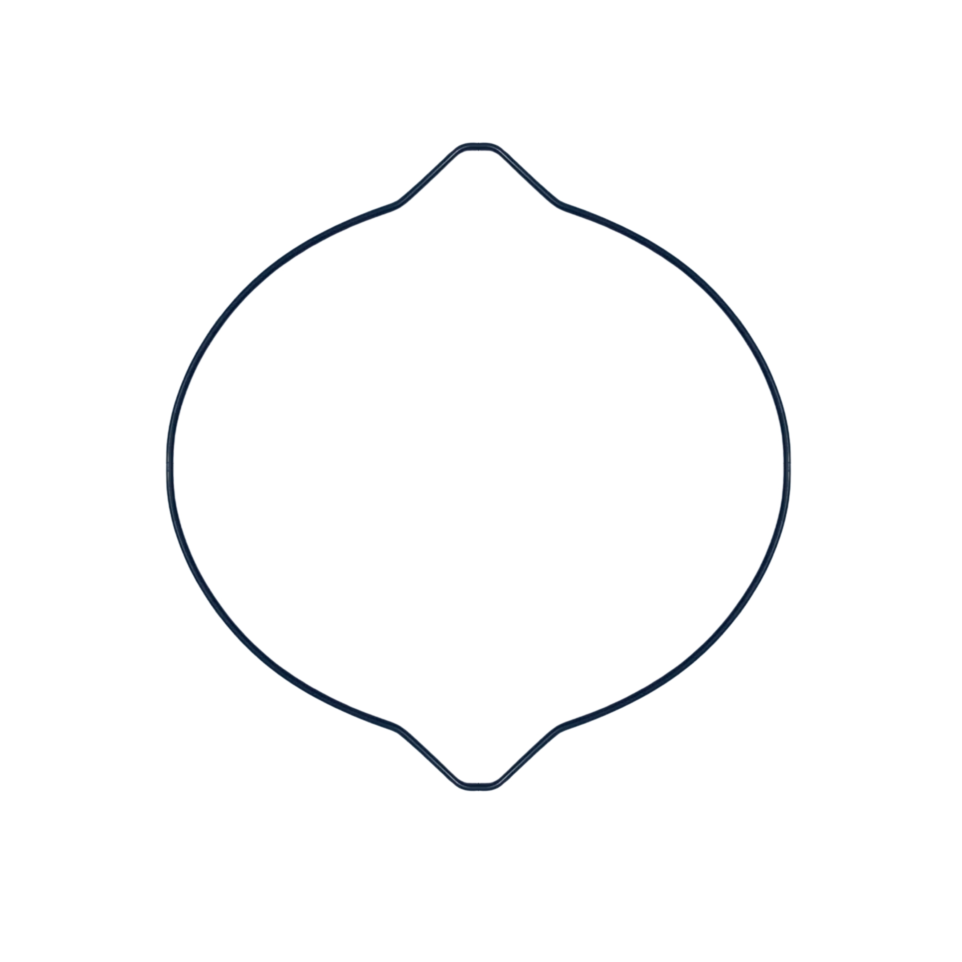 GASKET 2 - FANTIC