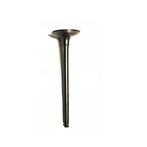 Valvula Escape (18.5x71.5x4) (KLX 4V) - YCF / Pitbike