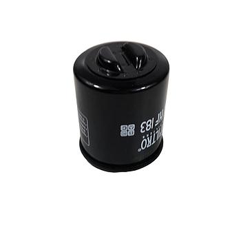 Filtro Oleo Madison 300 (V1)